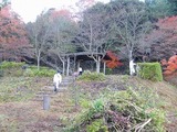DSCF1769