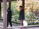 DSCF5422
