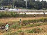IMG_3560