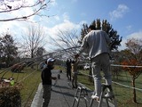DSCN0481